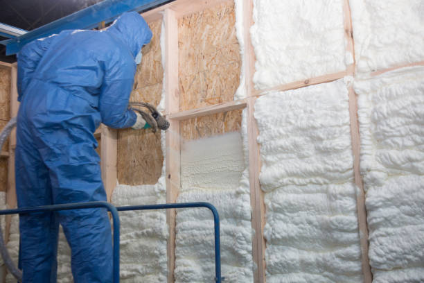 Best Basement Insulation  in Vineland, NJ